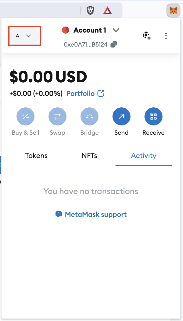 MetaMask Settings